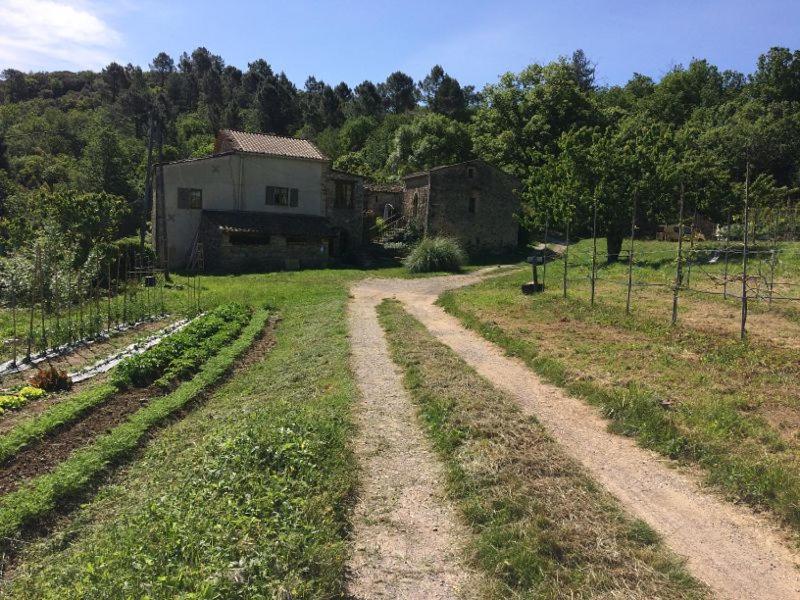 Deux Chambres D Hotes Attenantes Avec Salon Salle A Manger Privatif En Cevennes Gardoises Saint-Jean-du-Gard Exteriör bild